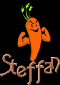 steffan_1.gif